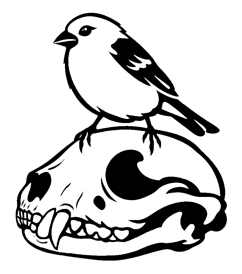becca bird clear